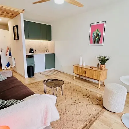 Lägenhet Bord De Avec Terrasse Classe 2 Etoiles Aix-les-Bains